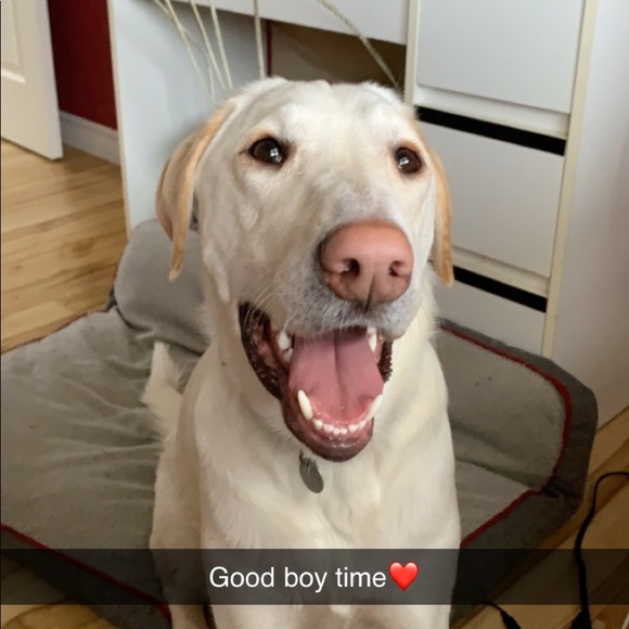 Meet your Posher, Arianne - Picture 1 of 1